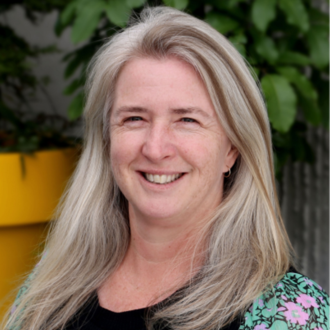 South Island location